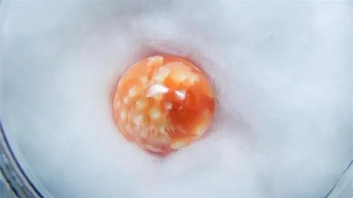 Báu vật mà Sifino Kasemson phát hiện có màu cam rực rỡ, nặng 1,8 gram, có thể có giá trị hàng trăm nghìn USD.