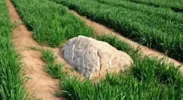 Mặc dù nó trông nhỏ bé và bình thường, nhưng núi Tĩnh thực sự có phần thân sâu dưới lòng đất, chỉ có đỉnh lộ ra.