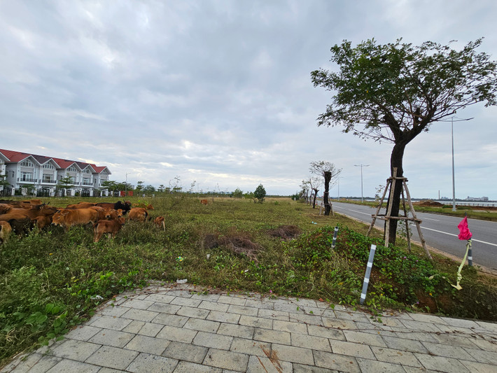 Một môi giới bất động sản tại khu vực này cho biết, giá đất nền đã giảm gần tỷ đồng mỗi lô so với thời "sốt giá" nhưng vẫn "khó chốt".