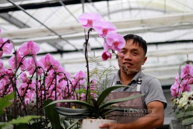 Công việc diễn ra khẩn trương, nhanh chóng đưa "không khí Tết" đến tay khách hàng.