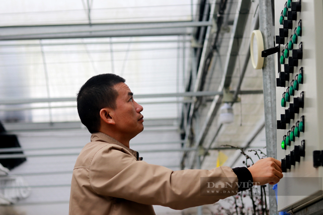 Mô hình có diện tích 2.500 m2 được đầu tư tỷ lệ tự động hóa cao trong khâu sản xuất, đặc biệt là việc tự động đo (bằng cảm biến) và điều chỉnh ánh sáng, độ ẩm không khí, độ ẩm giá thể theo thông số tiêu chuẩn kỹ thuật...