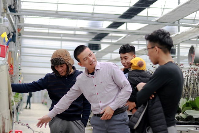 Anh Phạm Văn Huy đang giới thiệu lan hồ điệp của cơ sở mình đến với các khách đến từ Thanh Hóa.