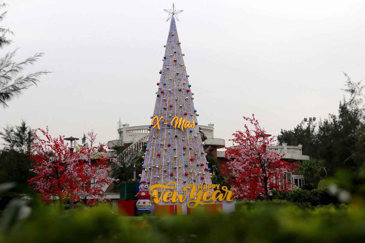 Cây thông Noel độc lạ được làm từ vỏ sò trong khuôn viên khách sạn tại Khu du lịch biển Xuân Thành (Hà Tĩnh). Ảnh: Trần Tuấn.