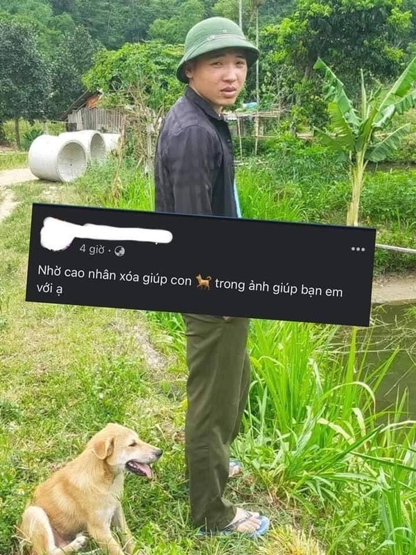 Trước đó, một chàng trai cũng lâm cảnh tương tự khi nhờ cư dân mạng xóa hình cún cưng trong ảnh.