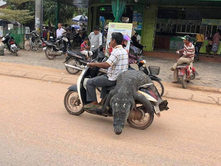 Tại Việt Nam, phương tiện xe máy ngoài chức năng chính là đi lại thì nhiều người còn sử dụng nó để thồ hàng, chở hàng cồng kềnh nhờ tính tiết kiệm và tiện lợi.