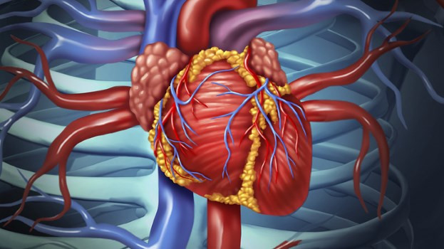 Bệnh nhân đau tim là nữ thường dễ bị bác sĩ chẩn đoán sai do họ ít có những cơn đau ngực điển hình.