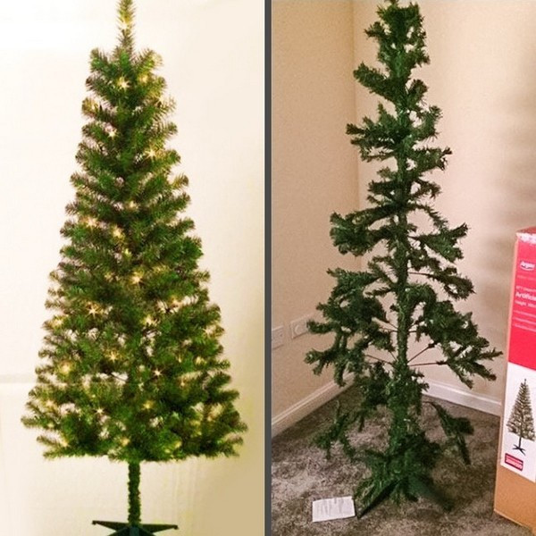 Phải chăng cây thông Noel này đã bị “vơi đi đôi chút” do quá trình vận chuyển?