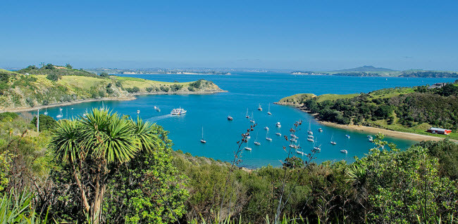 Đảo Waiheke ở New Zealand có phong cảnh giống ngôi làng ven biển ở New England (Mỹ). Một trong những điểm hấp dẫn nhất trên hòn đảo này là các vườn nho. Bạn thể thưởng thức các loại rượu nho nổi tiếng như Syrahs và Sauvignon Blancs.