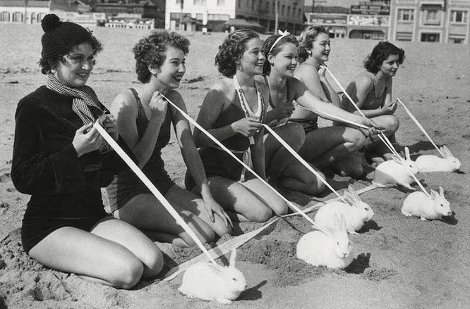 1. Cuộc đua thỏ trên bãi biển Venice, California, 1935. Ảnh: BrightSide