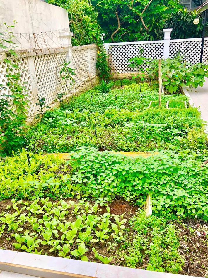 Ngôi nhà có tổng diện tích 300m2 và vợ chồng cô dành nhiều diện tích để làm vườn trồng đủ các loại rau. Thủy Tiên và Công Vinh đều thích ăn uống tại nhà, đặc biệt nữ ca sĩ còn mê nấu nướng nên họ chú trọng việc trồng rau ngay sân vườn nhà mình.