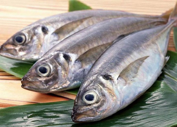 Cá Cá rất giàu axit béo omega-3 và vitamin E. Đây là thực phẩm vừa bổ dưỡng, lành mạnh, có thể loại bỏ các độc tố ra khỏi phổi để ngăn ngừa ung thư.