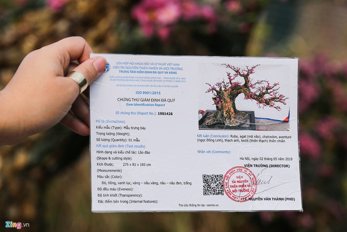 Chứng nhận đá quý được cấp bởi Trung tâm kiểm định đá quý và vàng của viện Tài nguyên Thiên nhiên và Môi trường. Theo giấy kiểm định, thành phần đá tạo nên cây đào gồm có: Ruby, mã não, ngọc Đông Linh, thạch anh, thiên thạch thiên nhiên.