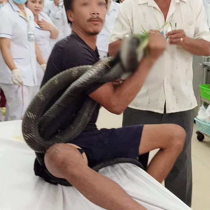 Những ngày qua, thông tin người đàn ông bị rắn hổ mang cắn vẫn gượng sức nhờ bác sĩ đưa con rắn cho vợ bán để có tiền cho con đi học đã lấy đi nước mắt của không ít cư dân mạng.