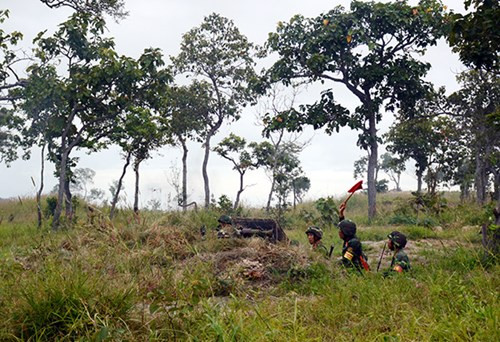 Ở phần thực binh, tại Trường bắn Ea H’leo, huyện Ea H’leo, Đắk Lắk, Sư đoàn 10 ( Quân đoàn 3) được giao nhiệm vụ tổ chức bắn đạn thật. Buổi diễn tập được chia thành 3 giai đoạn: Hỏa lực chuẩn bị mở cửa đánh chiếm đầu cầu; thực hành tiến công; kết thúc diễn tập.