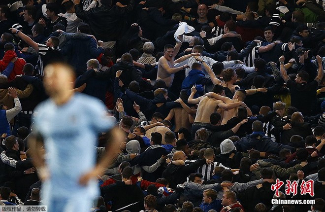 Trong trận đấu giữa Newcastle và Man City tại League Cup vào ngày 30/10, người hâm mộ Chích Chòe ăn mừng cuồng nhiệt sau khi đội nhà giành chiến thắng chung cuộc 2-0.