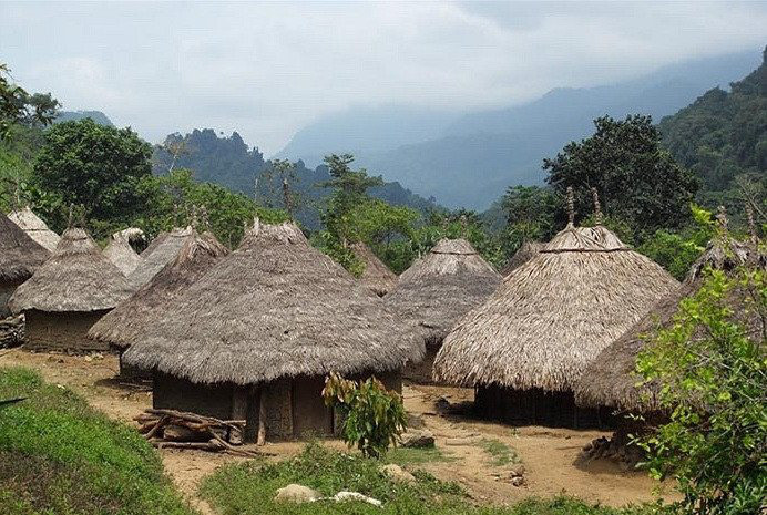 Người Kogi có một vóc dáng khá nhỏ nhắn, nước da ngăm, mái tóc xoăn tự nhiên và để dài cả nam lẫn nữ. Điều đặc biệt nữa là tất cả mọi người trong bộ tộc đều mặc trang phục giống nhau. Họ sống trong những ngôi nhà nhỏ làm bằng gỗ và lá cây, rất mát mẻ và sạch sẽ.
