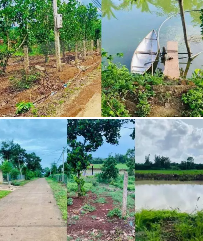 Ngoài ra, nữ giảng viên còn mạnh tay tặng cho mỗi khách 60m2 để "lấy chỗ đi lại".