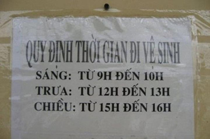 Thời gian biểu đi vệ sinh này không dành cho những người thường xuyên bị "Tào tháo đuổi".