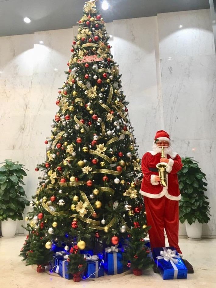Cây thông Noel hay cây Giáng sinh với nhiều phụ kiện trang trí là hình ảnh gắn liền, không thể thiếu trong mỗi dịp Noel.