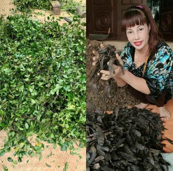 Tuy nhiên, một số người đã tinh ý nhận ra những hình ảnh mới nhất của Thu Sao thực chất chỉ là sản phẩm của app chỉnh ảnh.