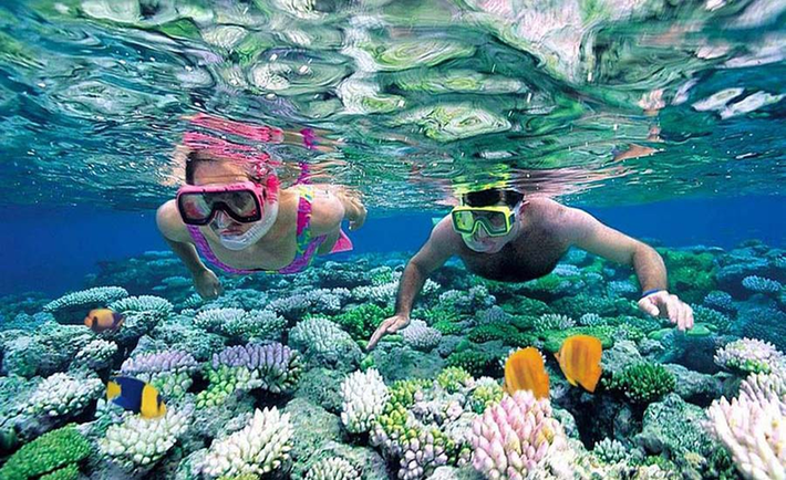 Phát hiện loài mới này làm gia tăng sự đa dạng sinh học của vùng biển và đảo ven bờ tại Quảng Ninh.