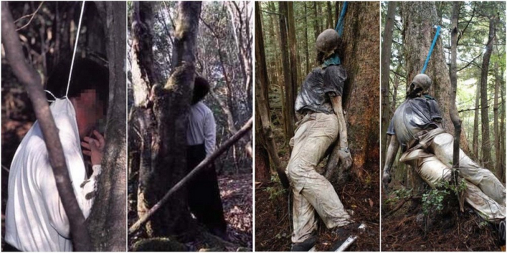 7.Khu rừng Aokigahara - Nhật Bản: Nổi tiếng với tần suất cao vụ tự tử. Có tin đồn về hồn ma và linh hồn của những người tự tử. Khu rừng này được cho là có nguồn cảm hứng từ tiểu thuyết "Kuroi Jukai".