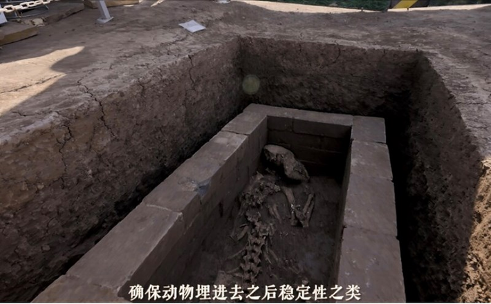 Tuy nhiên, do công trường này vi phạm các quy định và không báo cáo trước trong quá trình thi công, nên mộ cổ của triều đại nhà Minh đã bị phá hủy bởi một chiếc máy xúc. Vụ việc này đã thu hút sự chú ý của cư dân địa phương, tạo ra một cảnh tượng hỗn loạn.