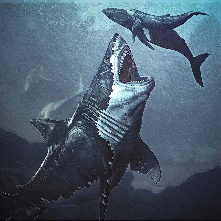 Tuy nhiên, Megalodon đã tuyệt chủng khoảng 2,6 triệu năm trước, chấm dứt sự tồn tại của mình sau hơn 20 triệu năm.