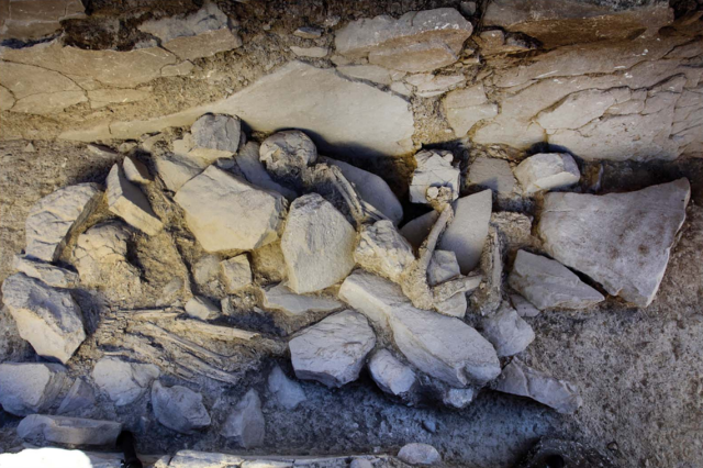 Một điểm đặc biệt khác của Piedras Blancas là những bức tượng và họa tiết được chạm khắc trên các mặt đá. Những hình vẽ và ký hiệu cổ đại truyền tải câu chuyện về đời sống và tôn giáo của cộng đồng người xưa.