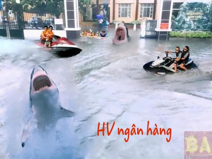 Thêm thắt một vài chi tiết như cá mập, người chơi lướt sóng,...sân trường của Học viện Ngân hàng bỗng thú vị hơn hẳn.