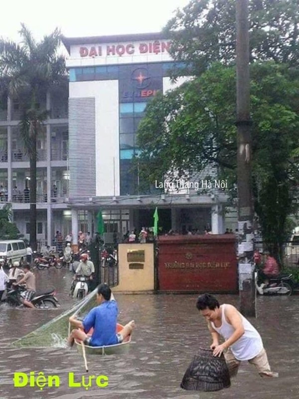 Cổng trường Đại học Điện lực ngập có thể bắt được cả cá.