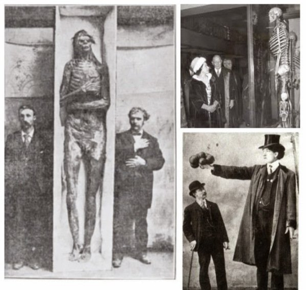 Ngày 4/5/1912, các nhà khảo cổ học thuộc trường đại học Beloit đã bất ngờ khai quật được 18 bộ xương khổng lồ tại khu vực hồ Delavan, Wisconsin, Mỹ trong tình trạng bị vùi lấp bởi than và đất sét.
