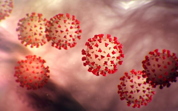 SARS-CoV-2 là một Coronavirus có bộ gene sợi RNA đơn dạng xoắn, tương đương với mRNA (messenger RNA) của tế bào ký chủ, khi vào được bên trong tế bào sẽ nhanh chóng chế tạo các vật liệu cần thiết (gồm các protein và enzym) để sinh sản nhiều sợi RNA, tạo ra các SARS-CoV-2 mới.