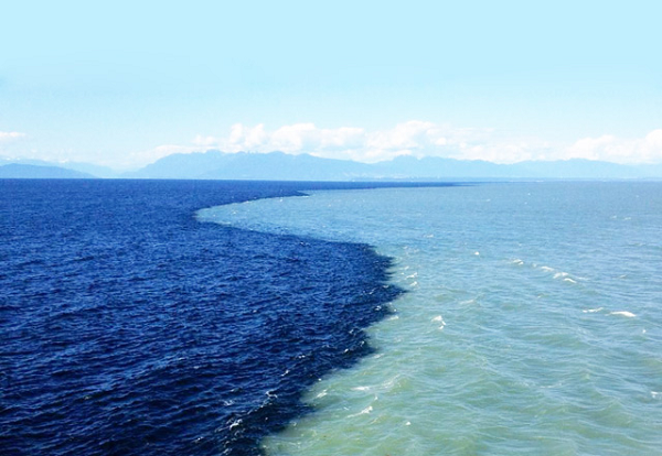 Về lý thuyết, AMOC có thể sụp đổ do một lượng băng tan có kích cỡ bằng Greenland và tốc độ tan băng tại khu vực này thật sự đáng báo động.