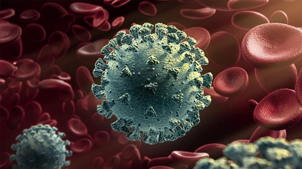 Các nhà nghiên cứu cũng cho rằng sự biến đổi kháng nguyên sẽ tích tụ dần dần ở virus SARS-CoV-2 và cuối cùng khiến các vắc xin hiện tại mất tác dụng.