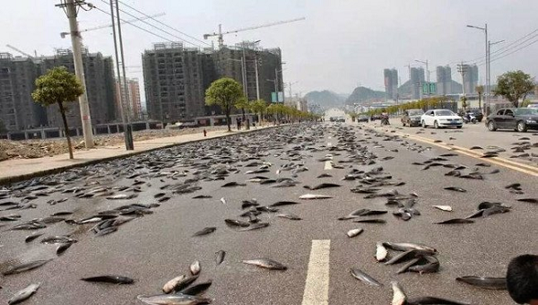 Những hiện tượng này khiến mọi người đặc biệt tò mò tìm lời giải đáp. Tuy nhiên, theo các nhà khoa học đây không phải là một hiện tượng kỳ bí mà hoàn toàn có thể giải thích bằng khoa học.