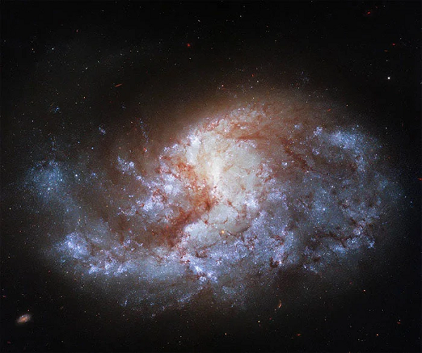 Thiên hà xoắn ốc tuyệt đẹp có tên là NGC 1385 được phát hiện lần đầu tiên vào ngày 17/11/1784 bởi nhà thiên văn học người Anh gốc Đức William Herschel.