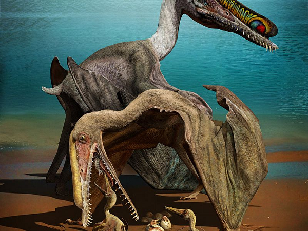 Cho đến hiện nay, nhiều nhà cổ sinh vật học vẫn không xếp Pterosaur vào cùng nhóm với chim vì khả năng bay của chúng. Chúng thuộc nhóm bò sát, do đó các nhà khoa học cho rằng chúng là loài máu lạnh như rắn hay thằn lằn hiện nay.