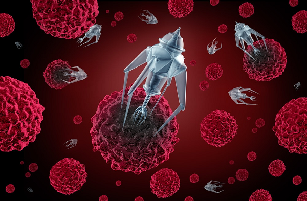 Các nanobodies mà nhóm chuyên gia phát hiện có nguồn gốc từ lạc đà Alpaca. Để tạo ra kháng thể, các nhà nghiên cứu đã tiêm protein tăng đột biến nCoV vào 3 con lạc đà là Britta, Nora, Xenia.