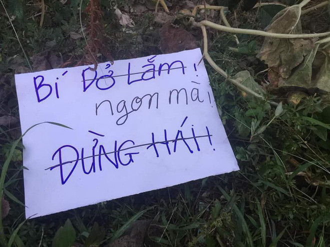 Tuy nhiên, xuất hiện ở đâu một tên trộm "đáng yêu" nào đó đã lấy mất quả bí, đồng thời tên trộm còn sửa lại nội dung nghe rất có ý khiêu khích: "Ngon mà" như để xát thêm vào nỗi đau của người trồng.