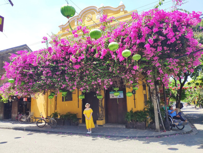 Trước khung cảnh ấy, cư dân mạng đã bày tỏ nỗi xót xa và cảm thấy tiếc nuối về địa điểm check - in sống ảo nổi tiếng Hội An này.