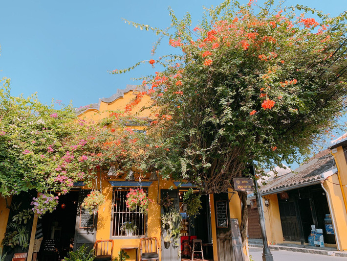 Trước đó, nơi đây hút khách bởi vẻ rực rỡ, là phông nền sống ảo đẹp, lãng mạn.