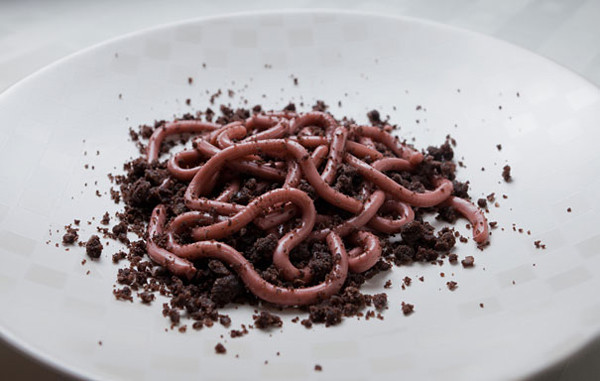 Sợi mì màu tím phủ vụn chocolate khiến nhiều người ngỡ rằng là những chú giun đang ngoe nguẩy trong đất.
