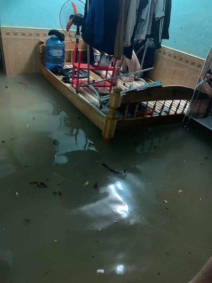 Người và đồ đạc đều được để hết lên giường.