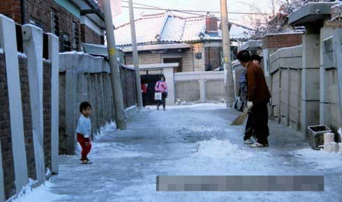 Con ngõ nhỏ tại một khu dân cư ở Seoul. Ảnh Sina