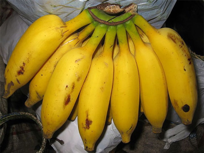 Chuối chứa tryptophan, vitamin B và các chất giúp bạn thư giãn các cơ bắp như magiê và kali. Tryptophan, có trong chuối giúp chuyển đổi các chất cảm ứng serotonin và melatonin, các chất kích thích chủ yếu của não và giúp bạn ngủ ngon hơn.