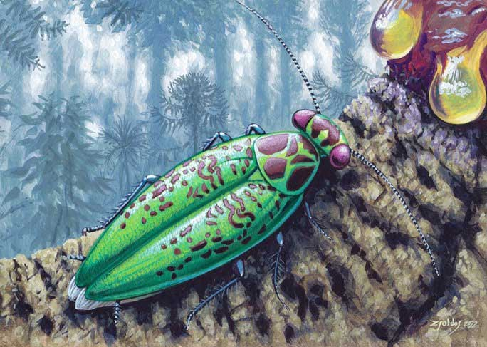 Quái vật cổ đại mang danh pháp khoa học Alienopterix santonicus này là một con gián.
