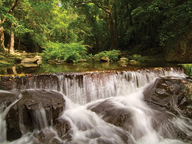 Rừng mưa nhiệt đới già nhất thế giới - Daintree, Queensland, Australia: Nằm ở phía bắc bang Queensland, khu rừng có niên đại tới 135 triệu năm. Hệ động vật ở đây rất đa dạng với nhiều loài động vật quý hiếm được xếp loài báo động đỏ.