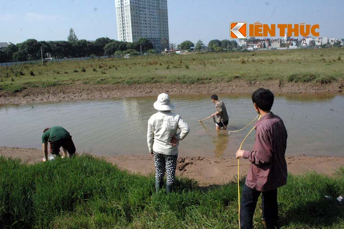 ...ra vùng đầm lầy gần đó để kích cá.