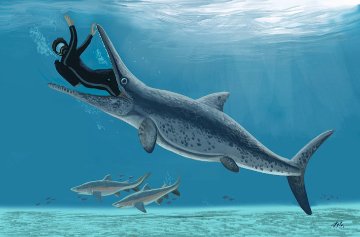 Một số mẫu vật đã được biết đến, trong đó bộ xương của những con ichthyosaurs nhỏ, chưa trưởng thành được hóa thạch bên trong cơ thể của những cá thể lớn hơn, ngay cả trong ống sinh sản.